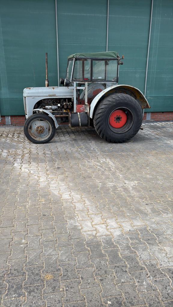 Massey Ferguson TEF, Ophalen, Oldtimer, Tot 80 Pk, Massey Ferguson