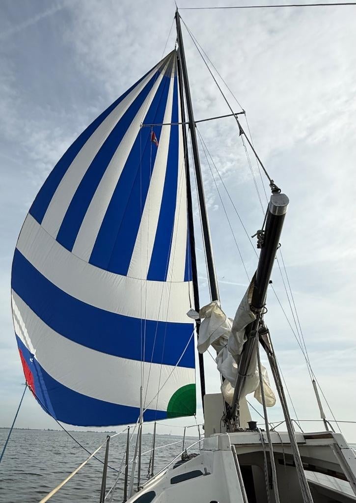 Balaton 24 | Zeilklaar | Veel nieuw | Vetus | Solo Zeilboot, Ophalen, Gebruikt, Diesel, Tourjacht of Cruiser