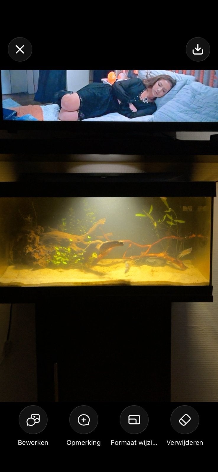 60L aquarium set, Ophalen, Zo goed als nieuw