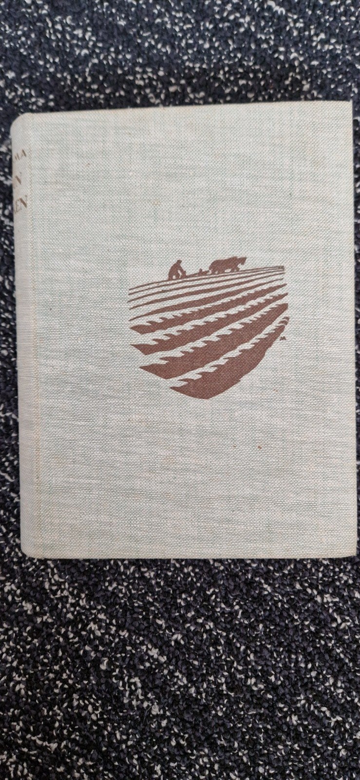 Groun en Minsken - R. Brolsma (1954), Boeken, Gelezen, Ophalen of Verzenden, Nederland, R. Brolsma