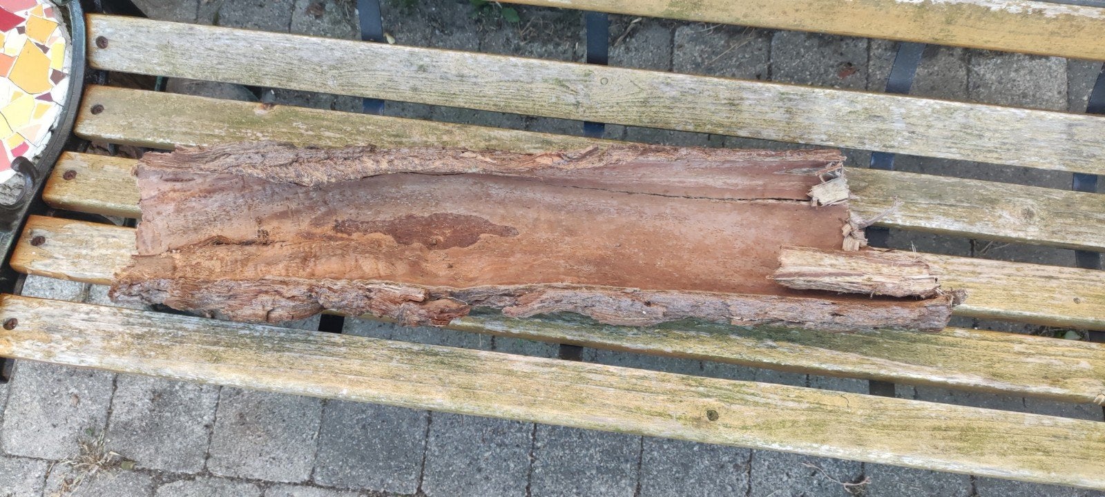Boomschors, Ophalen, Nieuw, Palen