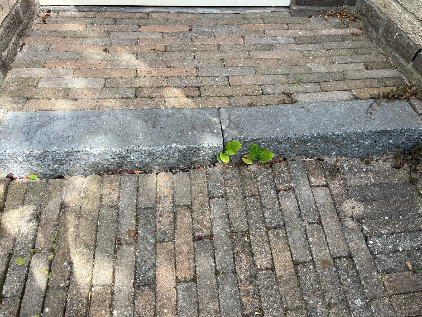 Diverse tegels gratis ophalen - grindtegels, betontegels,etc, Ophalen, Gebruikt, 10 m² of meer, Beton