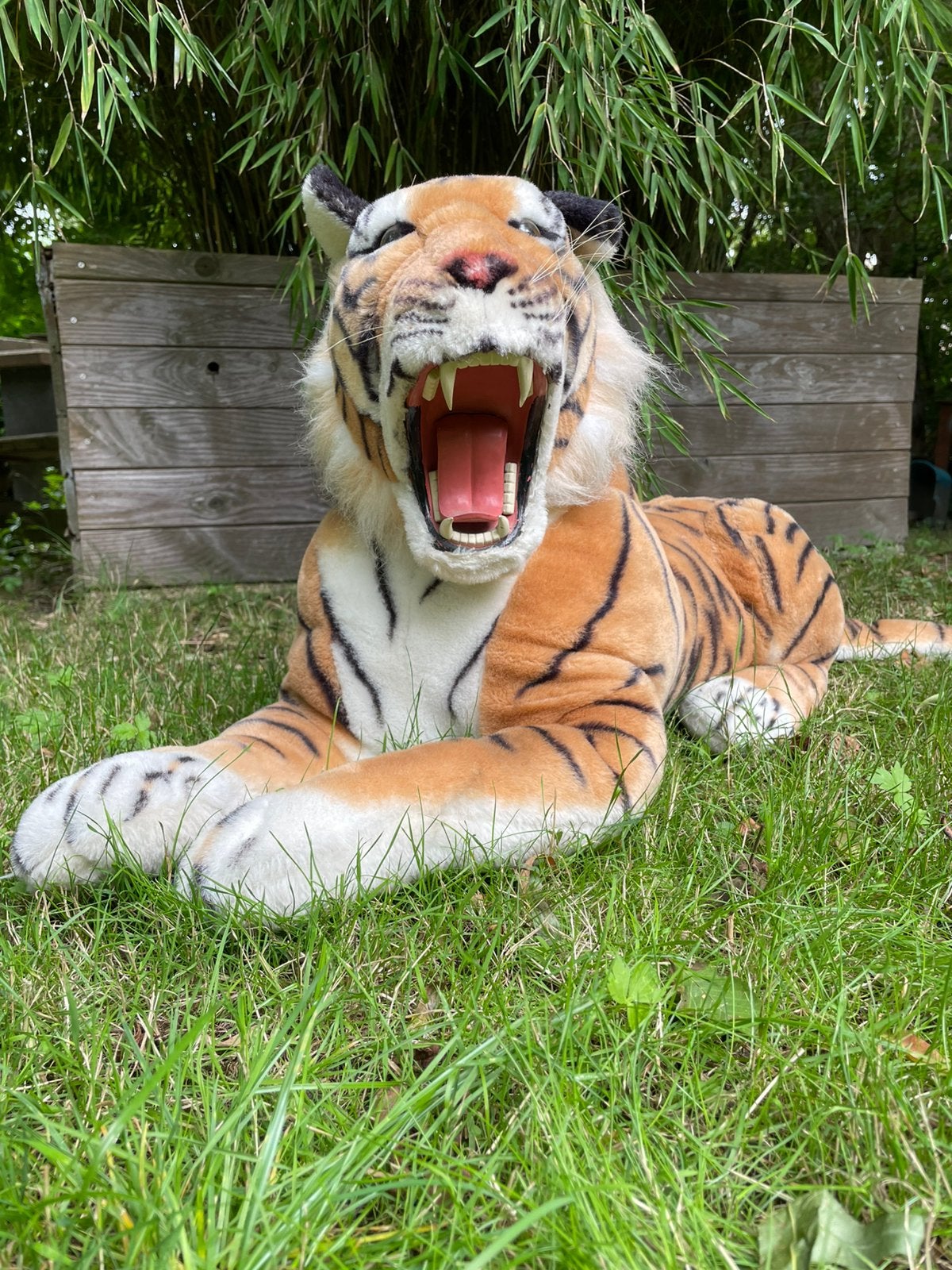 Mega Grote knuffel tijger zie omschrijving, Ophalen, Zo goed als nieuw, Overige typen