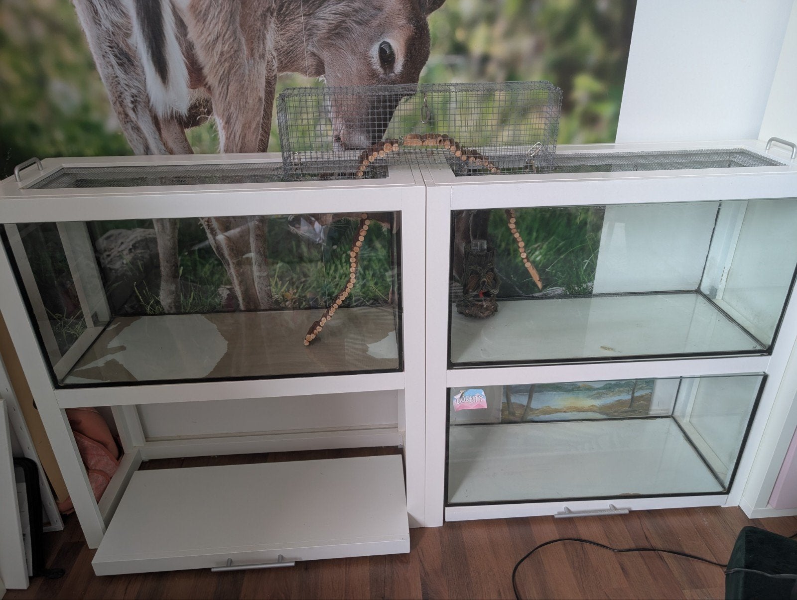 Glazen bakken incl kast voor knaagdieren, Dieren en Toebehoren, Kooi, Gebruikt, Hamster, 75 tot 110 cm