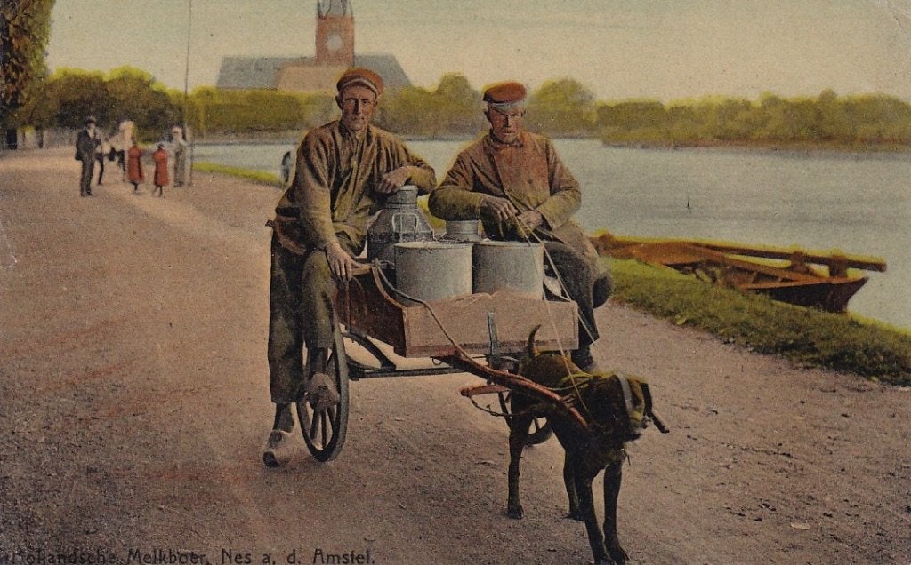 748R Nes a.d. Amstel, melkboer, hondenkar, Ophalen of Verzenden, Voor 1920, Gelopen, Noord-Holland
