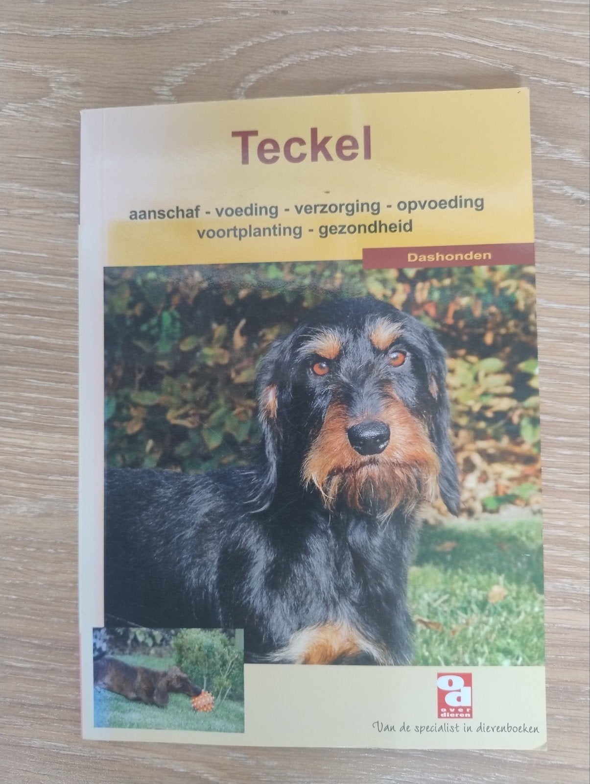 Teckel, Gelezen, Honden, Ophalen of Verzenden, Over Dieren