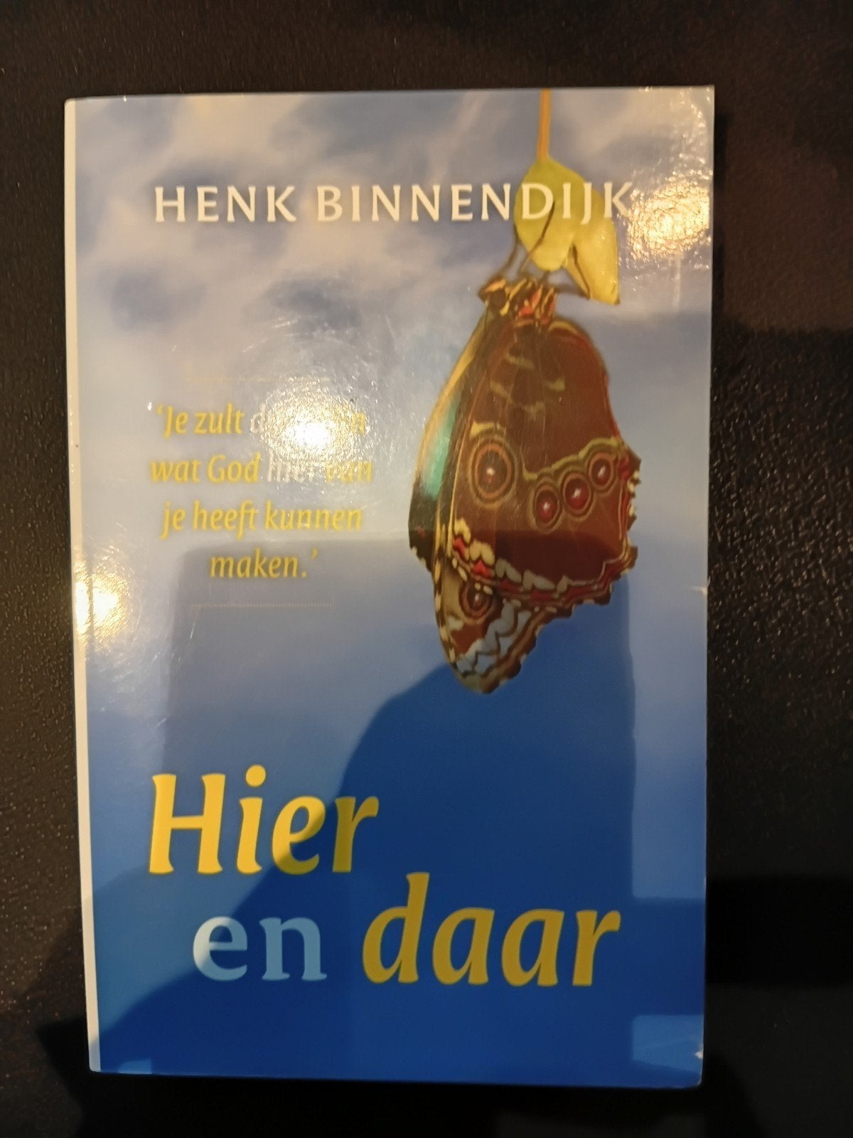 Henk Binnendijk - Hier en daar, Ophalen of Verzenden, Zo goed als nieuw, Henk Binnendijk