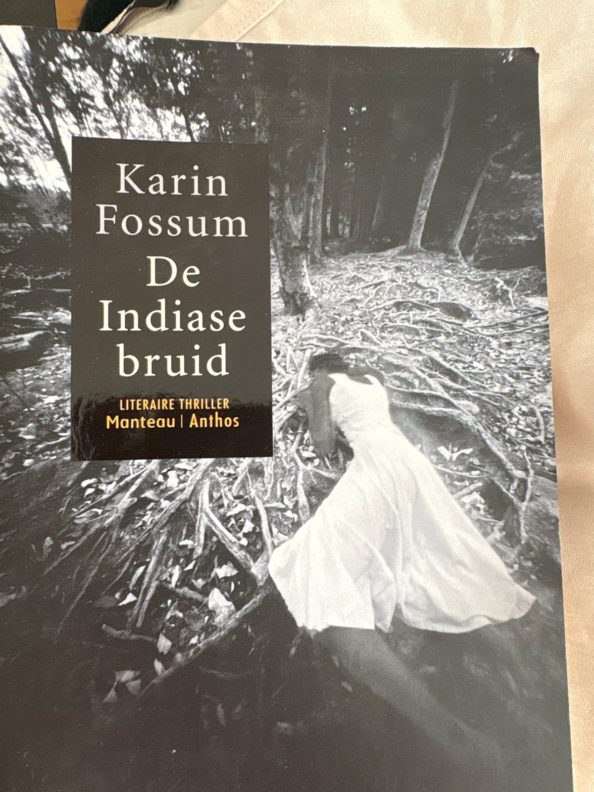 Karin Fossum - De Indiase bruid (Literaire thriller), Boeken, Ophalen, Gelezen, Scandinavië