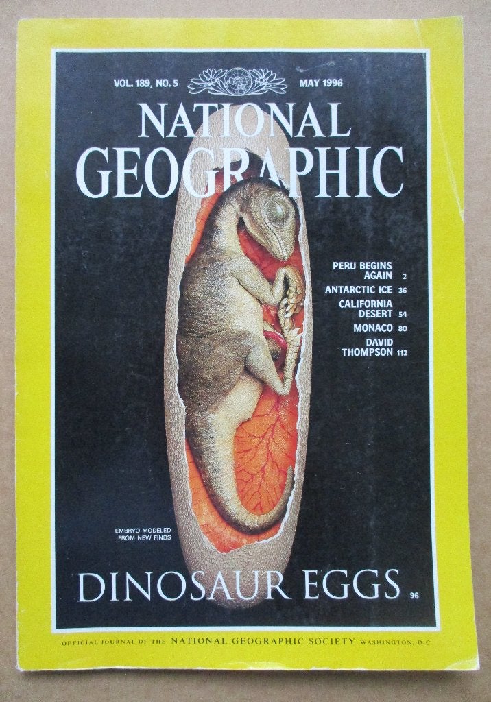 National Geographic 1996 met artikel dino eieren, dinosaurus, Verzenden, Gelezen, Wetenschap en Natuur