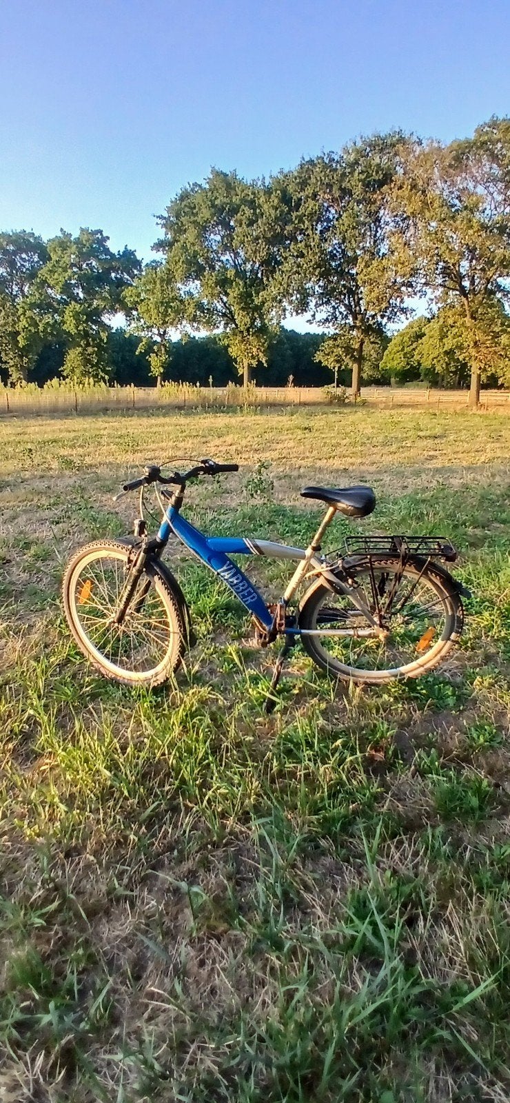 gebruikte fiets 3 versnellingen, achteruitraprem, Minder dan 10 versnellingen, Gebruikt, Vering, Ophalen