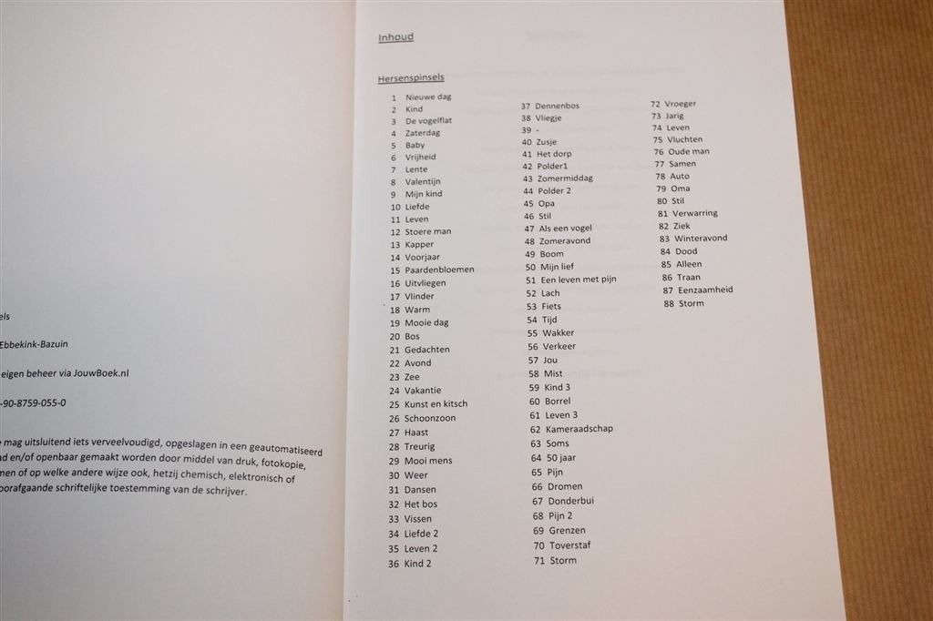 Hersenspinsels — Gedichten over het Leven en Gevoelens, Ophalen of Verzenden, Gelezen, Overige onderwerpen, Achtergrond en Informatie