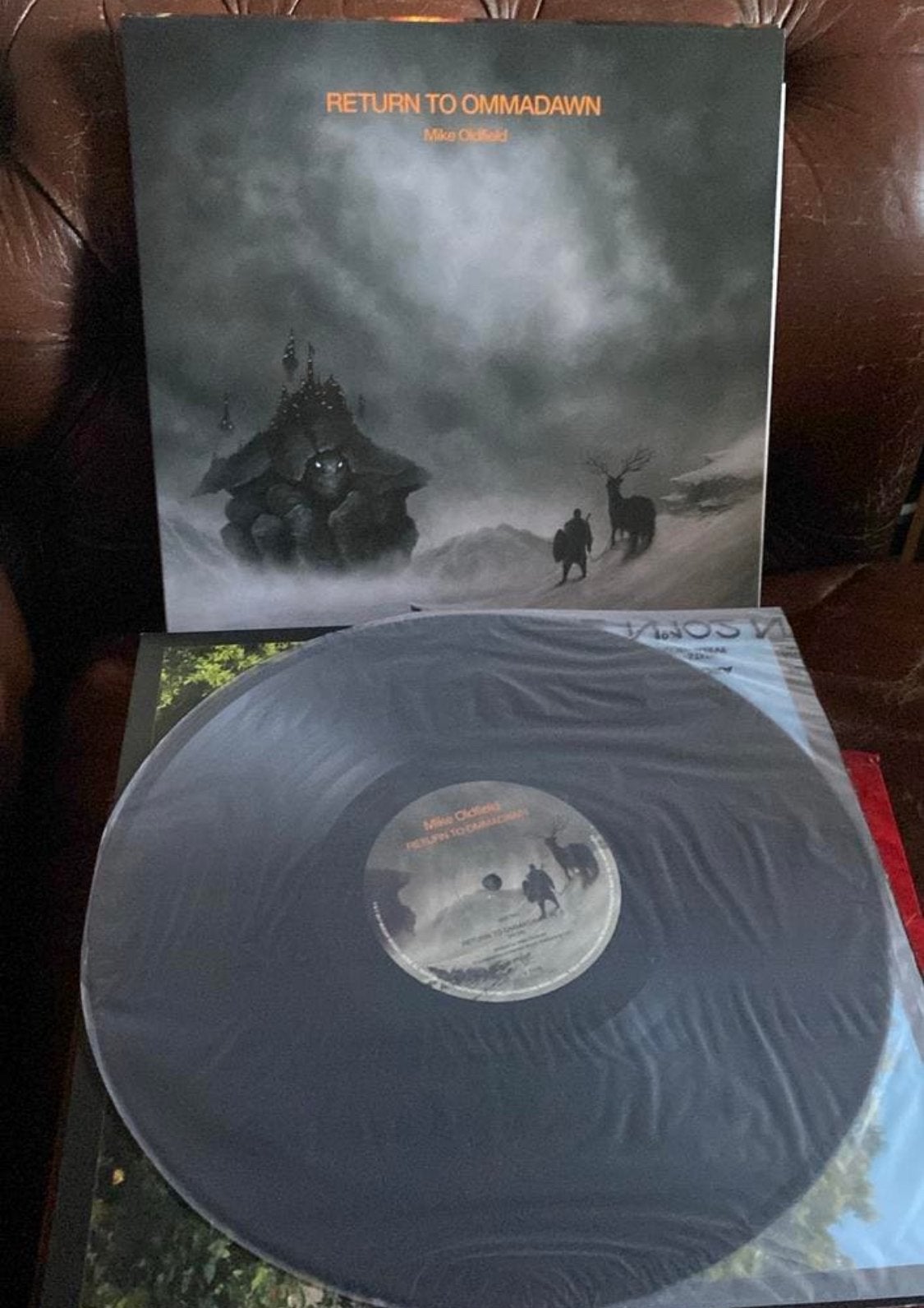 Mike Oldfield lp rto, Cd's en Dvd's, Vinyl | Rock, Ophalen of Verzenden, Zo goed als nieuw