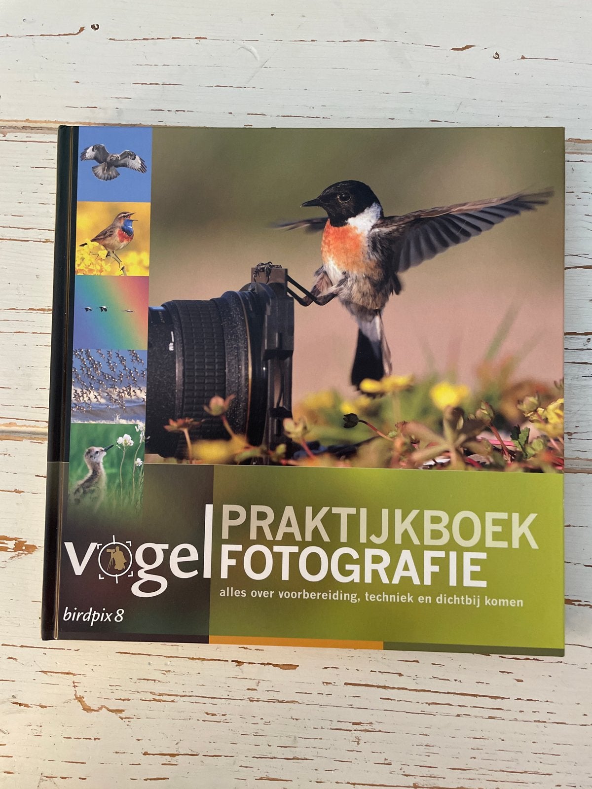 Praktijkboek Vogelfotografie - Birdpix 8, Ophalen of Verzenden, Nieuw, Fotografie algemeen