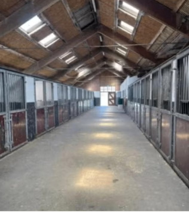 Vakantiestalling voor uw paard -veilig, rustig en vertrouwd!, Weidegang, 4 paarden of pony's of meer