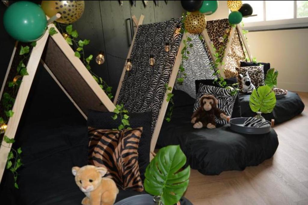 4 thema’s vanaf €75 slaapfeestje tipi slaapfeestje, Hobby en Vrije tijd, Feestartikelen | Verhuur, Ophalen