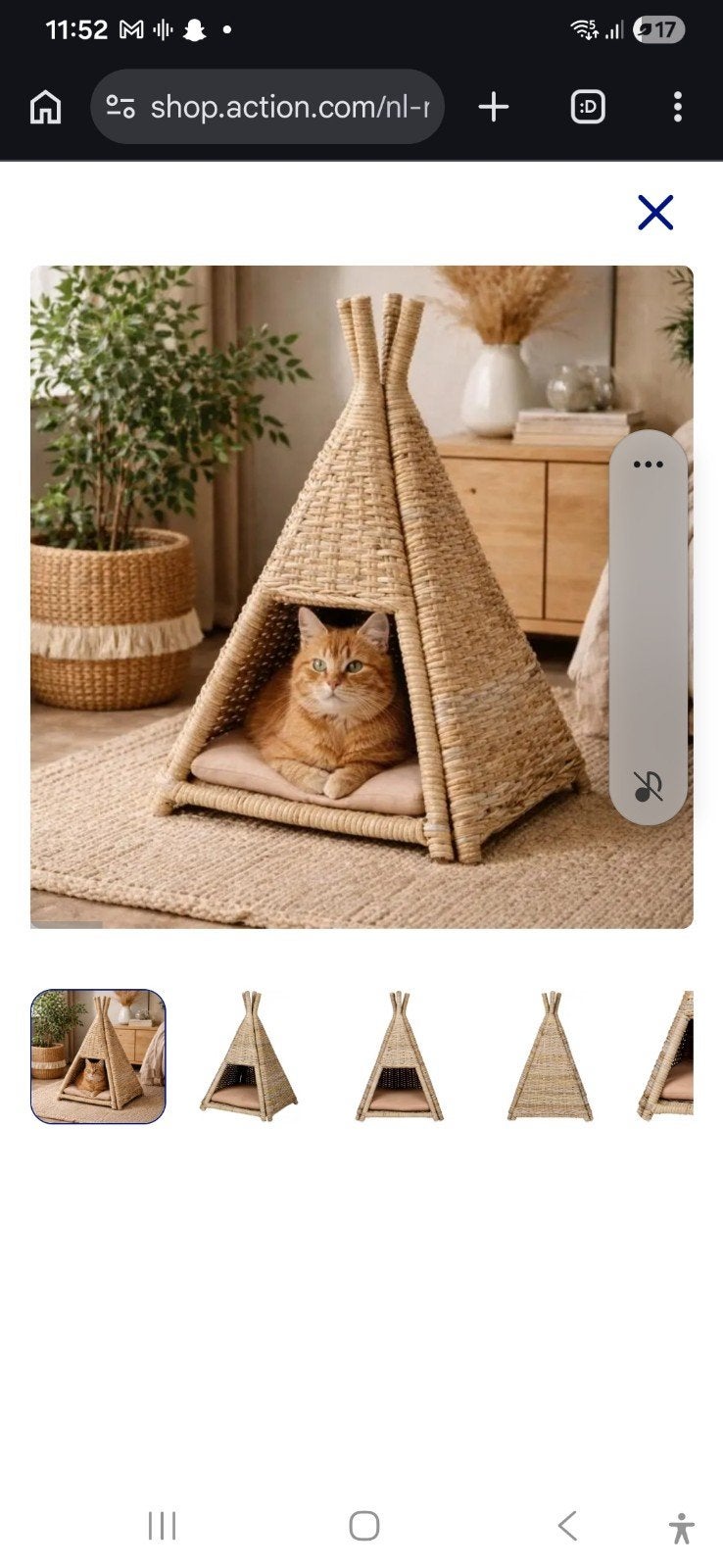 Katten tippi tent, Ophalen of Verzenden, Nieuw