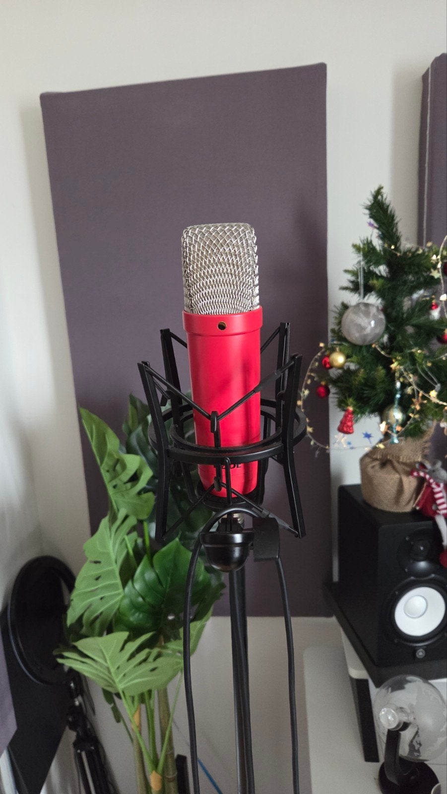 NT1 Signature Serie Red, Muziek en Instrumenten, Ophalen of Verzenden, Zo goed als nieuw, Studiomicrofoon