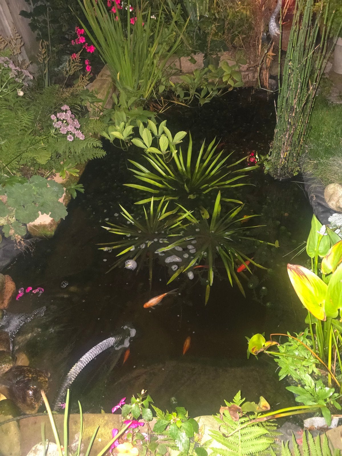 krabbescheer, Tuin en Terras, Ophalen
