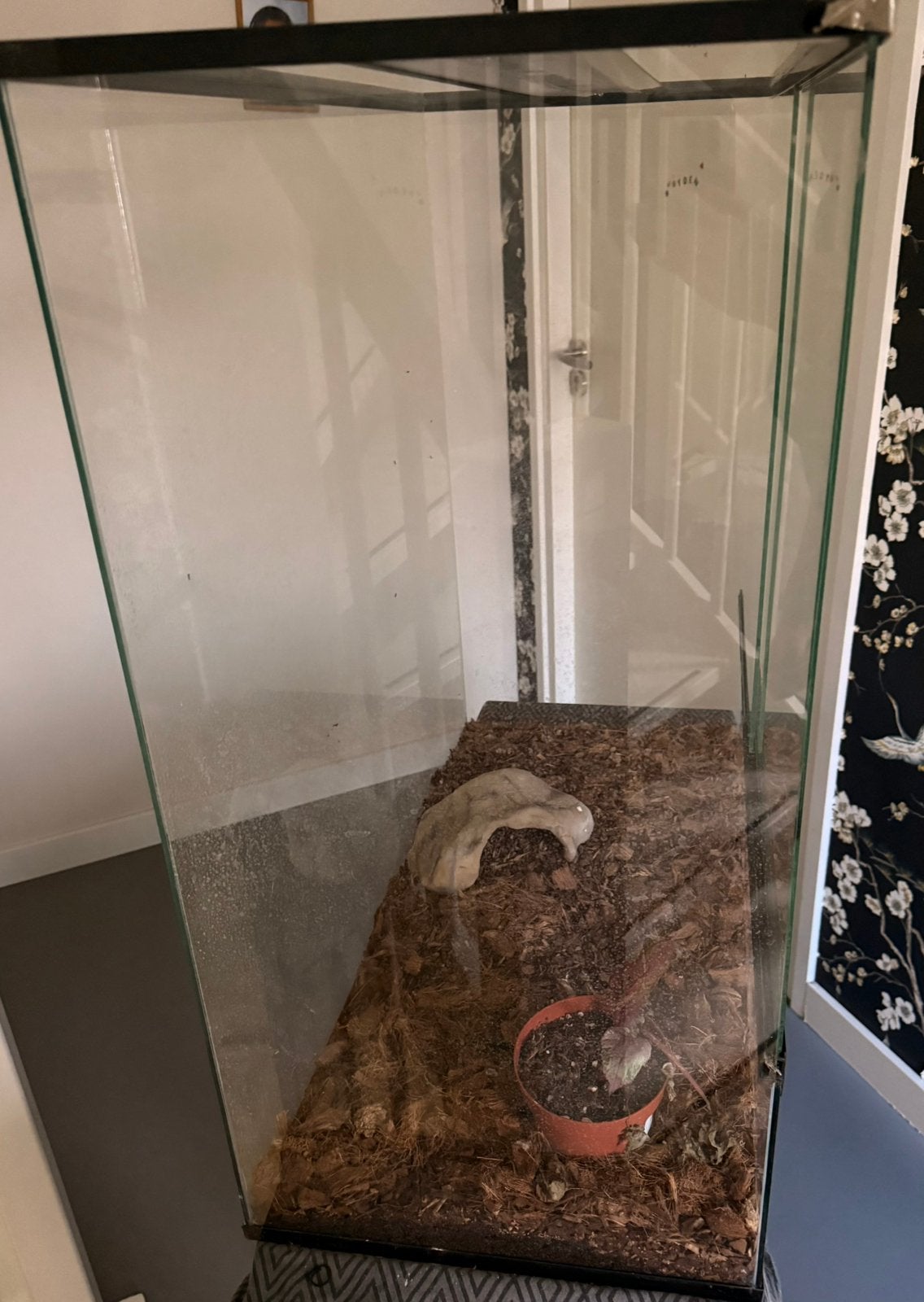 Terrarium 75x45x 75 repto terra sky, Dieren en Toebehoren, Ophalen, Zo goed als nieuw