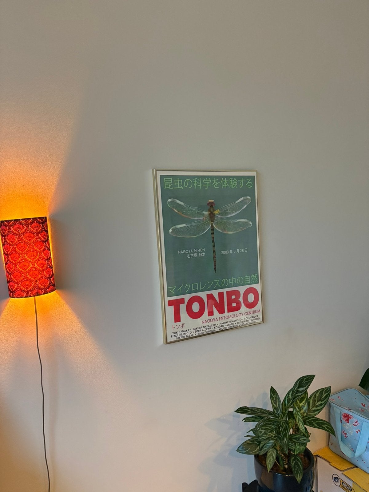 Gouden lijst met poster, Ophalen, Zo goed als nieuw, A1 t/m A3