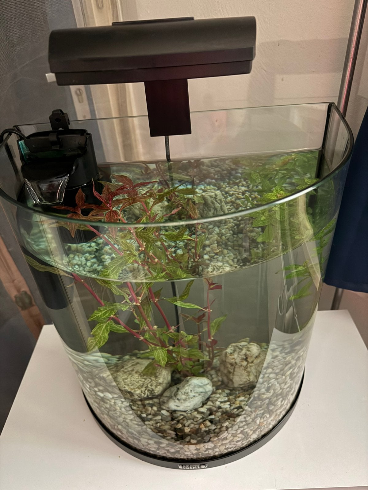 Tetra aquarium, Ophalen, Zo goed als nieuw, Leeg aquarium, Inclusief deksel