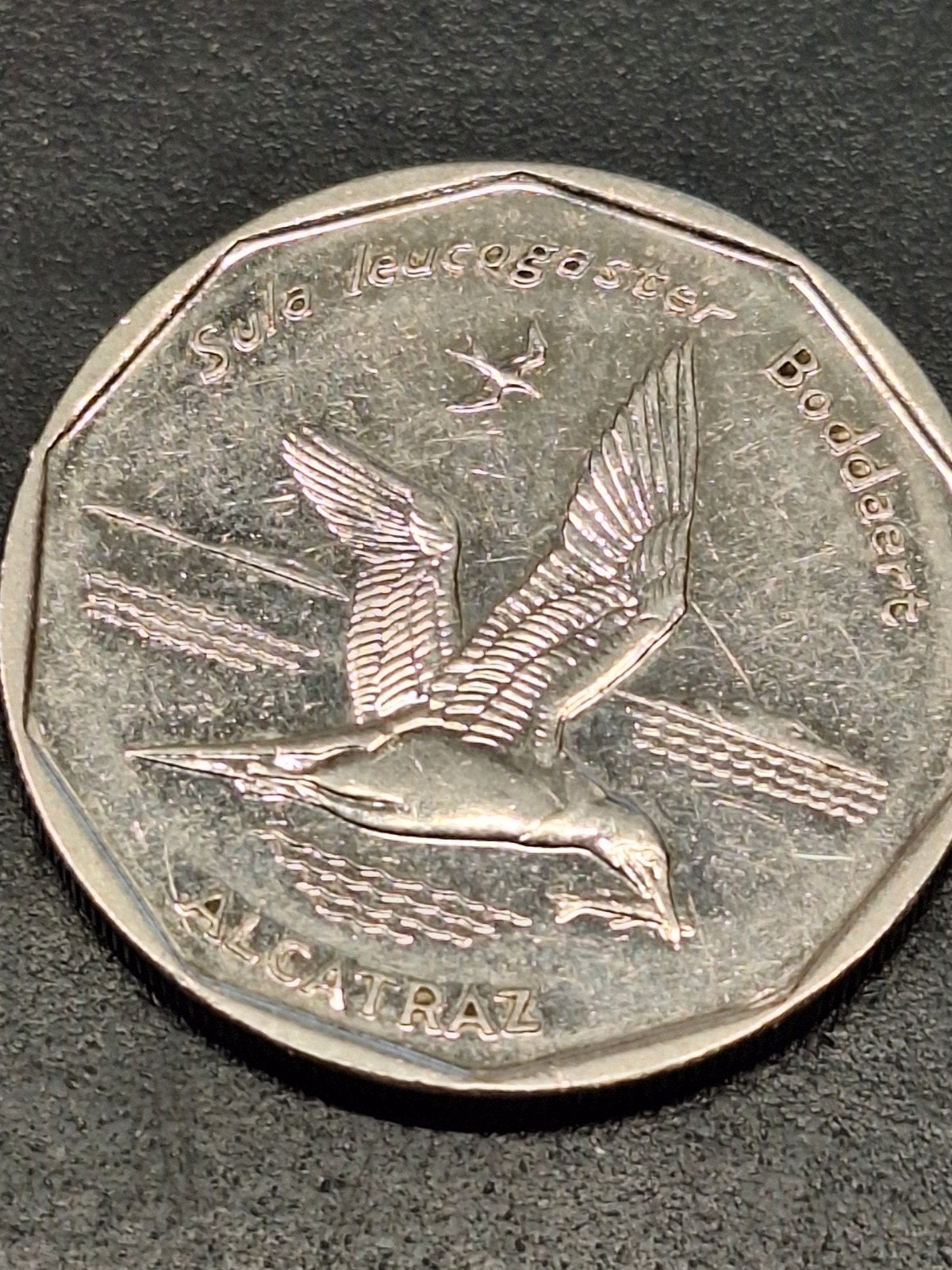 kaap verdie 20 escudos 1994, Ophalen of Verzenden, Overige landen