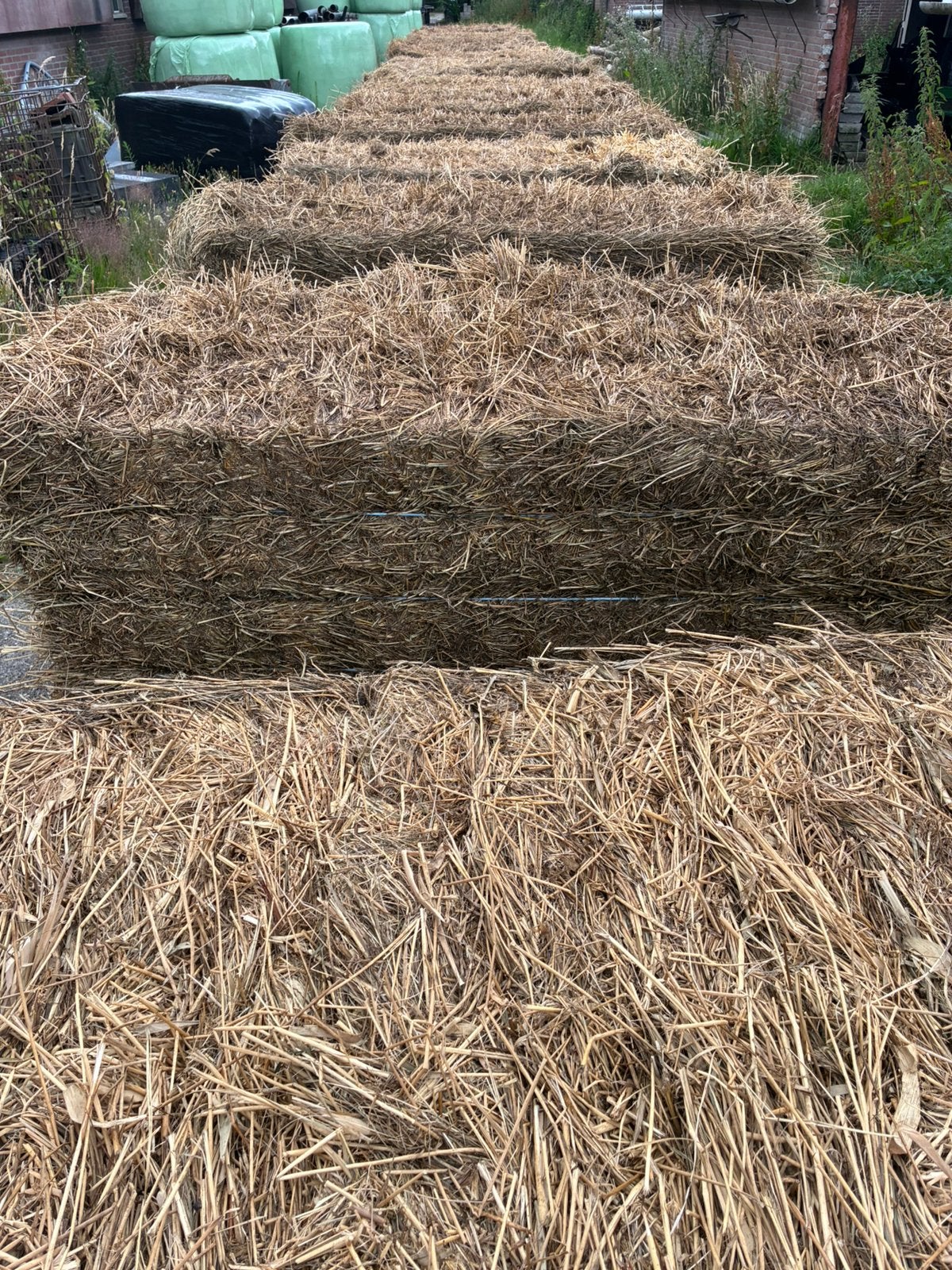 Stro vervanger / strooisel / natuurhooi, Dieren en Toebehoren, Ophalen, Vee