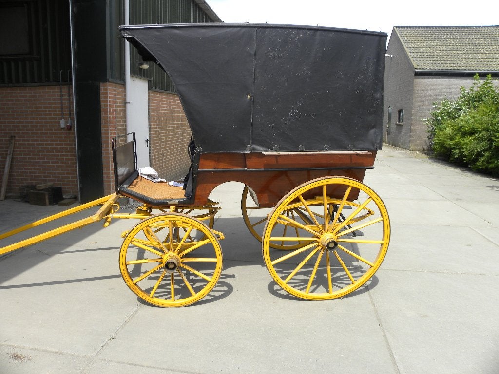 Te koop Wagonette, Overige typen, Paard