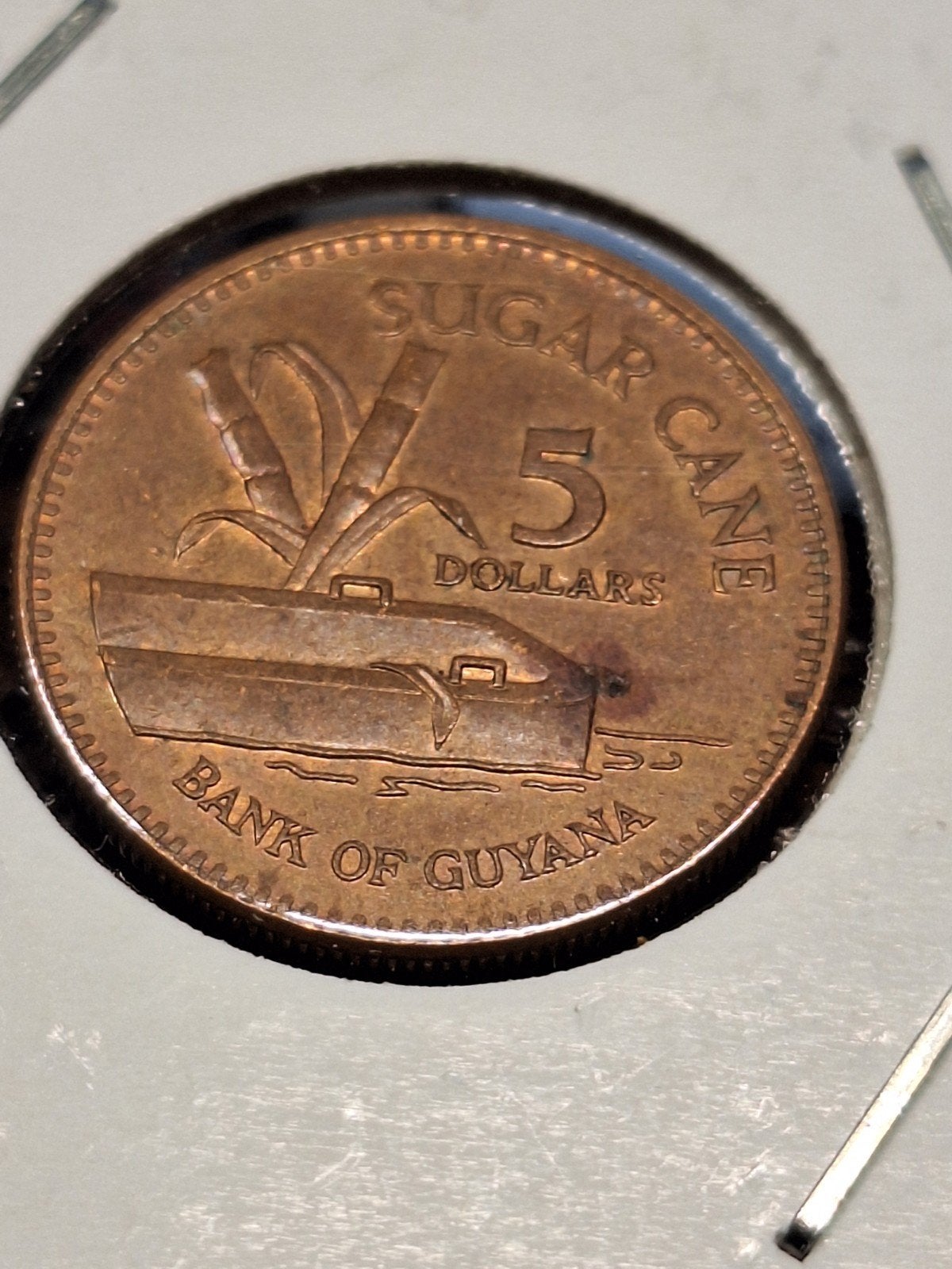 Guyana 5 dollars 2005, Ophalen of Verzenden, Zuid-Amerika