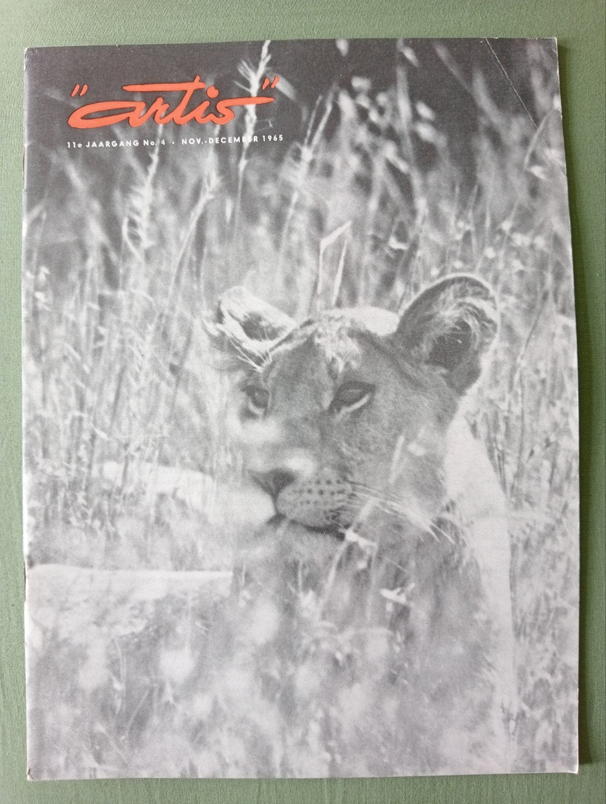 Artis Magazine - November/December 1965 - Afrika/Serengeti, Boeken, Ophalen of Verzenden, Gelezen, Natuur algemeen, H. v. d. Werken
