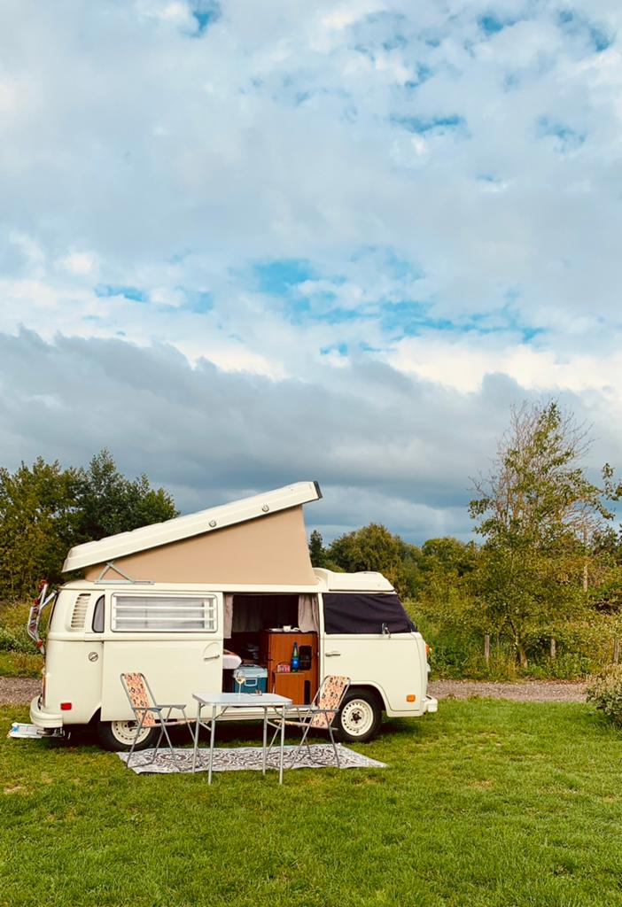 Te koop: Volkswagen T2 Westfalia camper, Volkswagen, Handgeschakeld, Luifel, Nvt