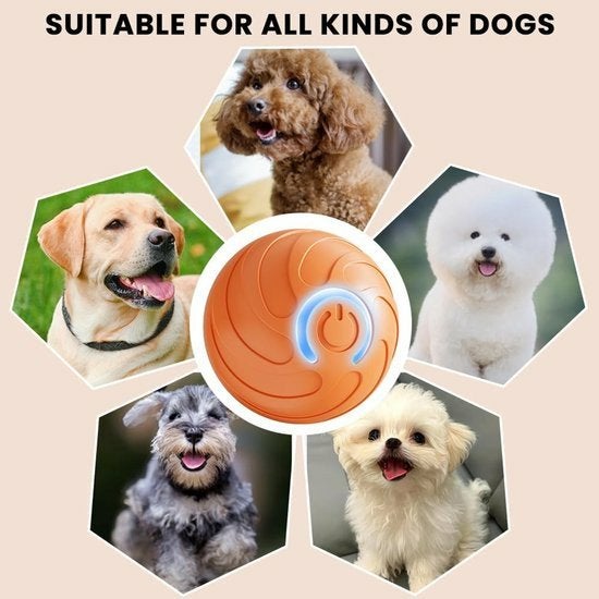 Partij huisdierballen - oplaadbaar - honden / katten, Ophalen of Verzenden, Nieuw, Behendigheidspeelgoed, Overige merken