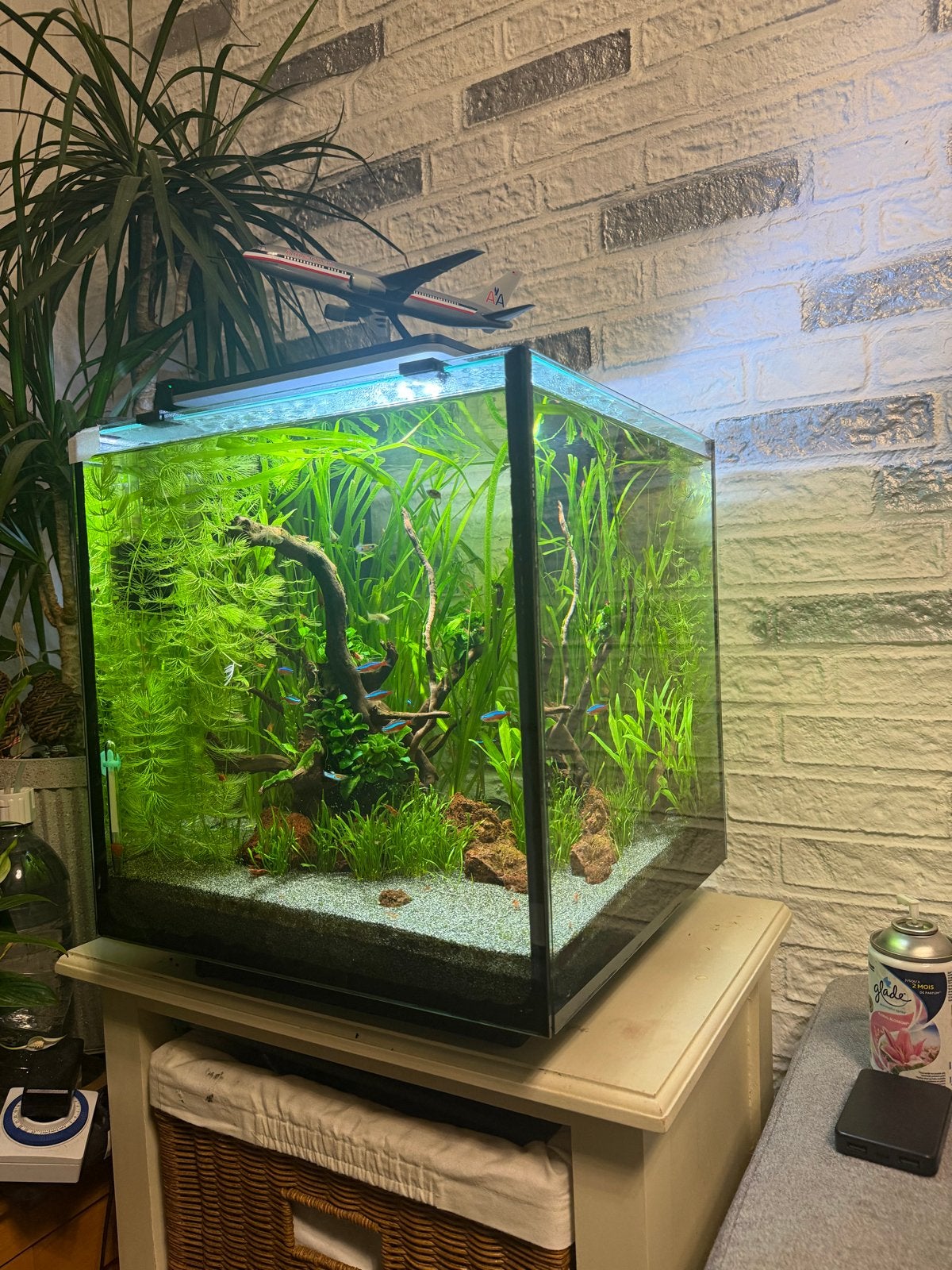 Aquarium, Ophalen, Zo goed als nieuw, Leeg aquarium