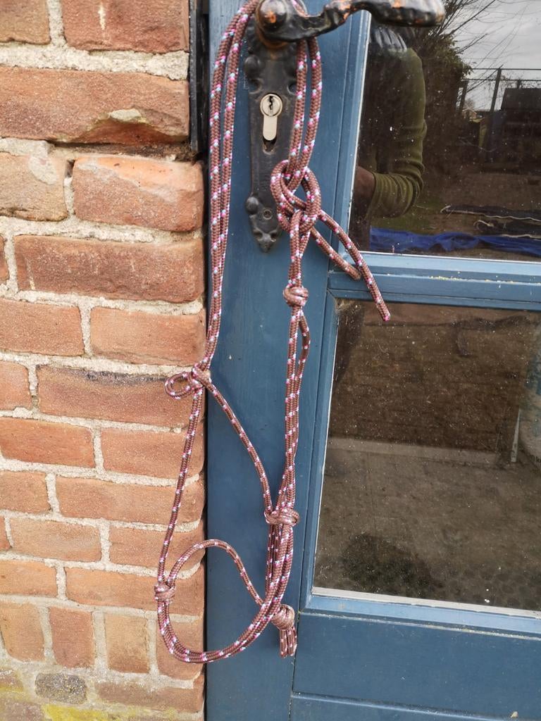 Paardenspullen, Ophalen of Verzenden, Overige soorten