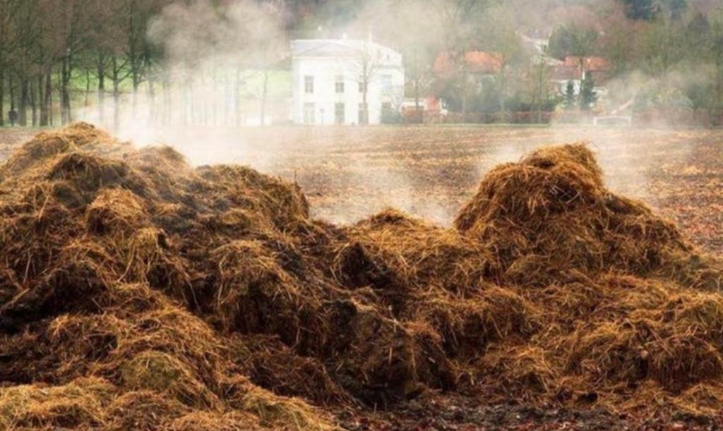 Mest gezocht!, Tuin en Terras, Aarde en Mest, Compost, Ophalen