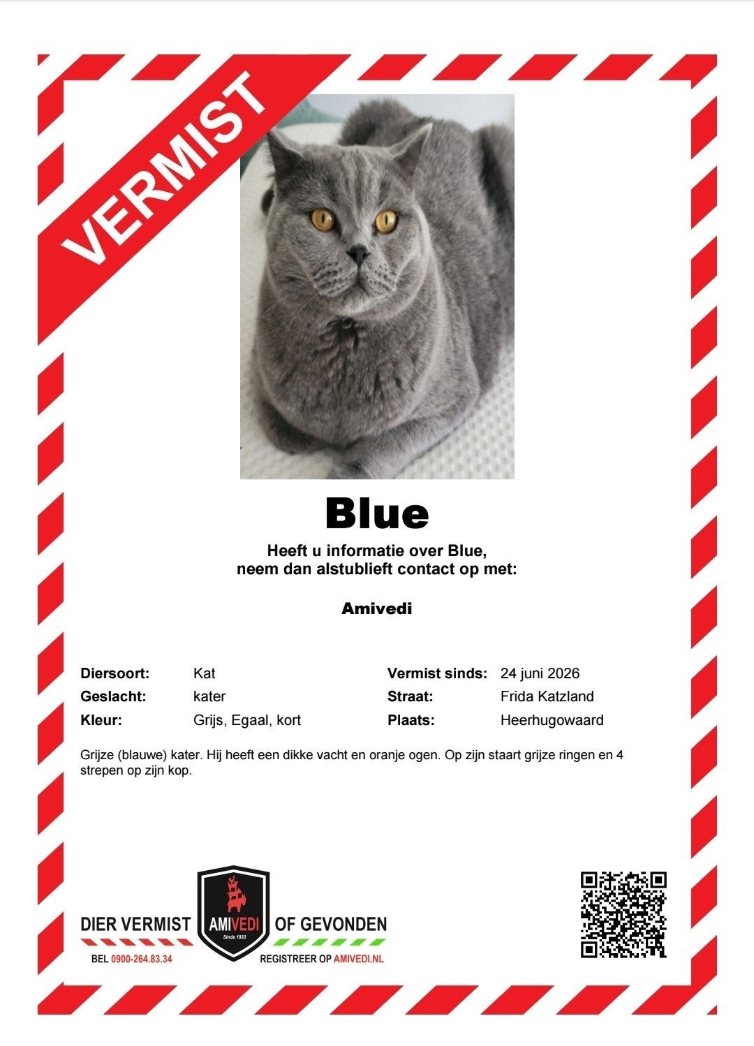 VERMIST IN HEERHUGOWAARD, FRIDA KATZLAND!!, Dieren en Toebehoren, Vermiste en Gevonden Dieren