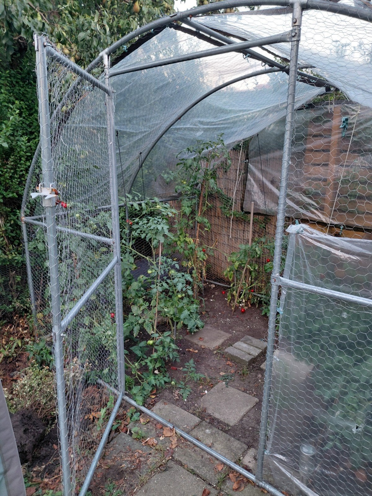 Gebruikte Kweekkas / Kippenren  met Metalen Frame, Ophalen, Overige materialen, Gebruikt, Staal