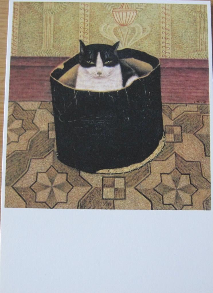 Sal Meijer - Vreemde inhoud - nieuwe ansichtkaart, Verzenden, 1980 tot heden, Ongelopen, Overige thema's