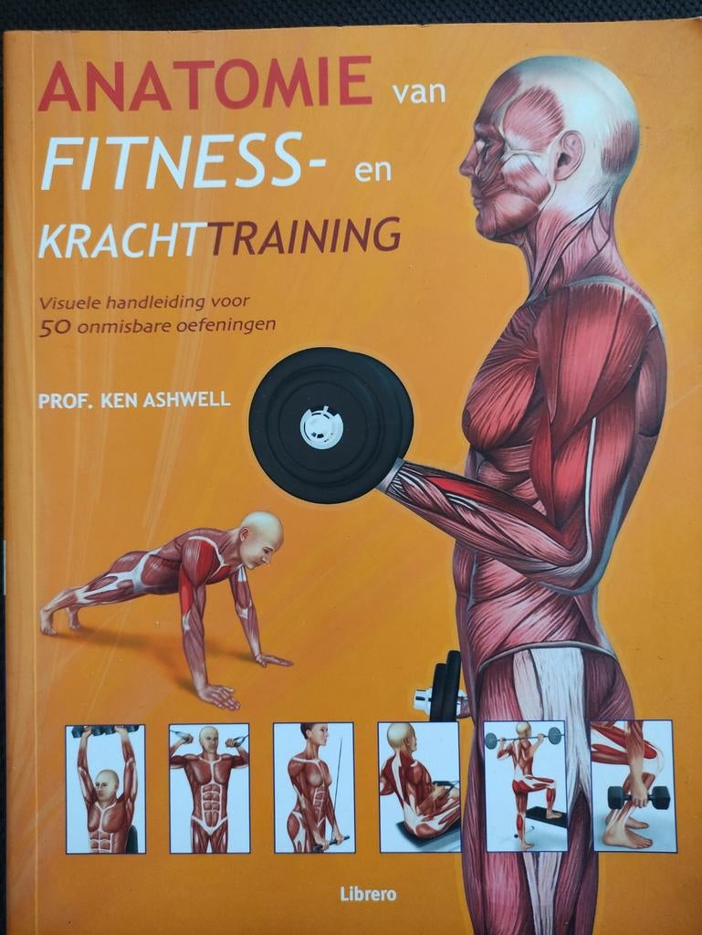Anatomie van fitness en krachttraining ken ashwell, Boeken, Sportboeken, Ophalen of Verzenden, Zo goed als nieuw, Fitness