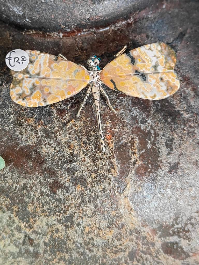 Oceaan jaspis Libelle, Ophalen of Verzenden