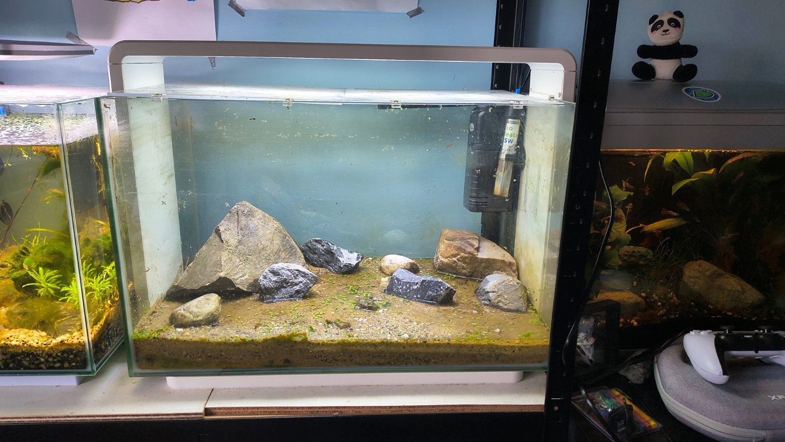 superfish home 60 aquarium, Ophalen of Verzenden, Zo goed als nieuw, Leeg aquarium