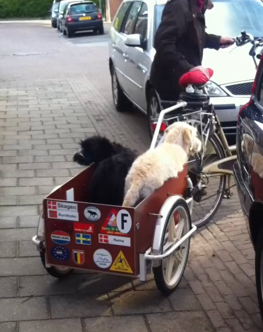 Fietskar Handy, Ophalen, Gebruikt, Goederen, Overige merken