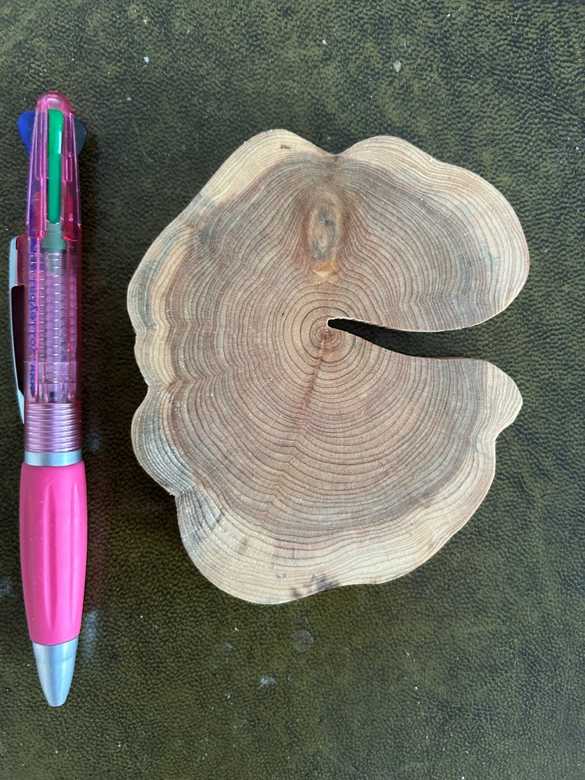 Unieke houten onderzetter van boomstam schijf, Ophalen, Hout, Nieuw, Landelijk