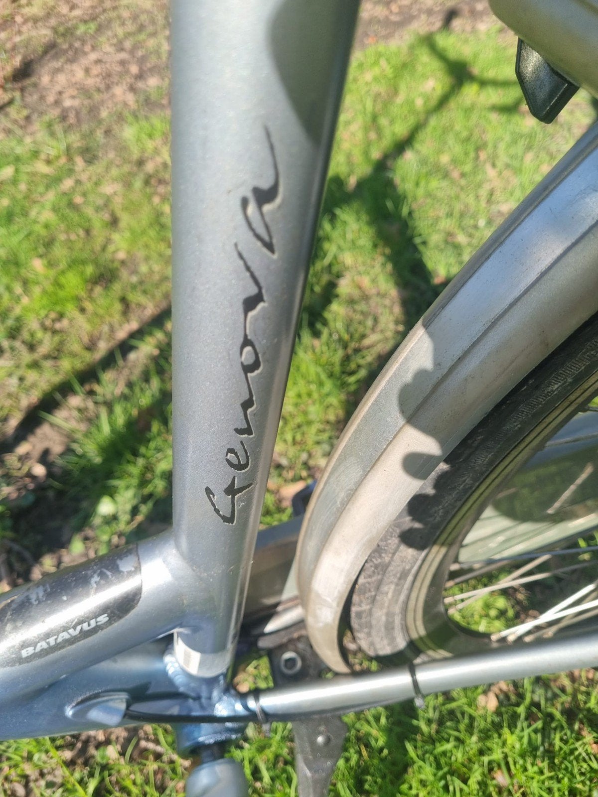 Foto 3 van Batavus Genova Damesfiets - 28 inch, 8 versnellingen