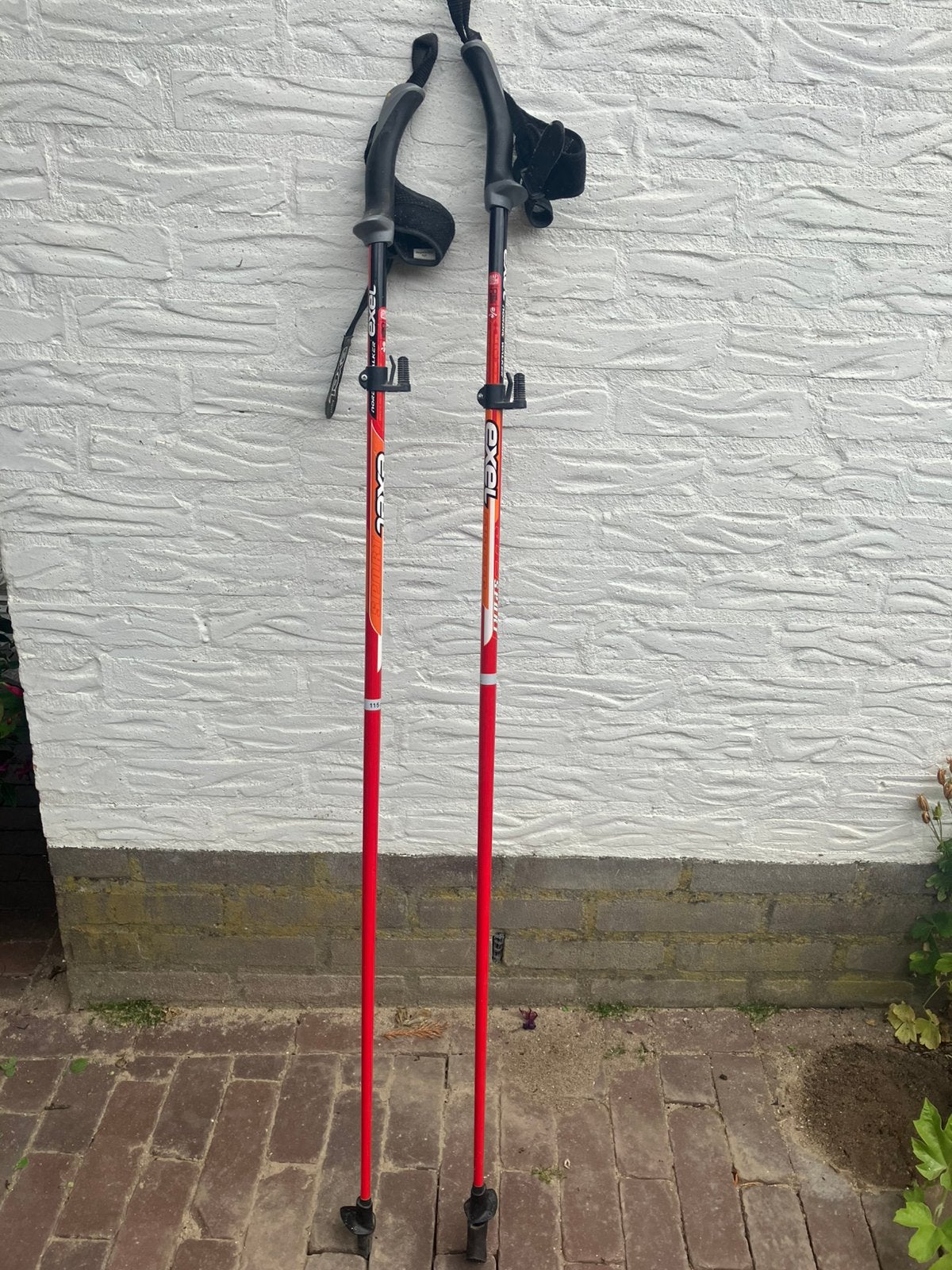 Te koop Nordic walking stokken, Ophalen, Gebruikt, Wandelstok