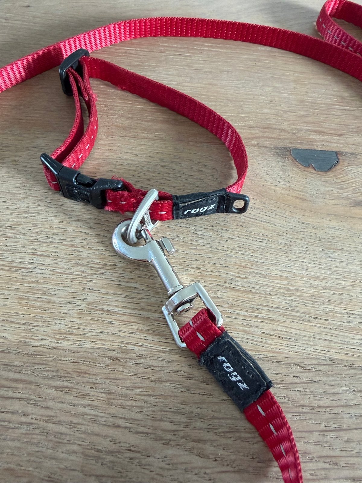 Puppy halsband en riempje., Ophalen of Verzenden, Zo goed als nieuw