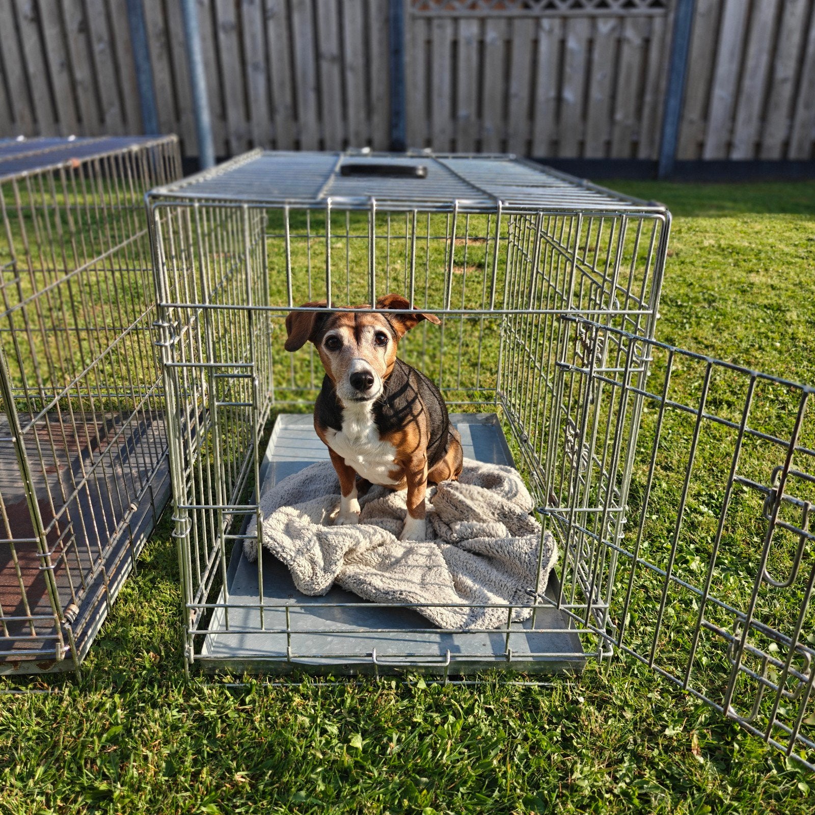 2x honden bench klein, Dieren en Toebehoren, Ophalen, 75 tot 110 cm, Minder dan 65 cm