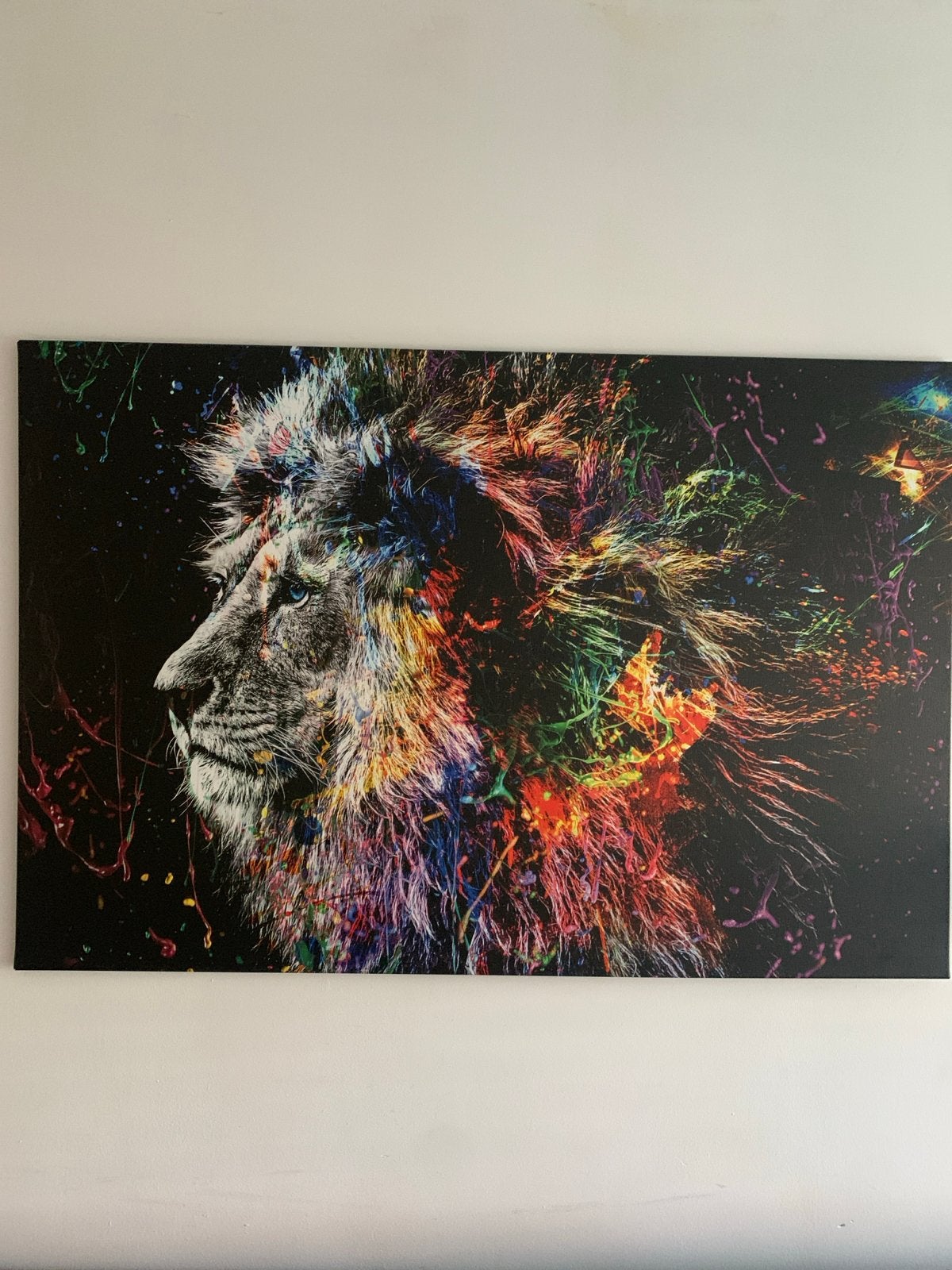 Kleurrijk Leeuwen Canvas Schilderij - Modern. Kunstwerk, Antiek en Kunst, Kunst | Schilderijen | Modern, Ophalen, Dieren, Print