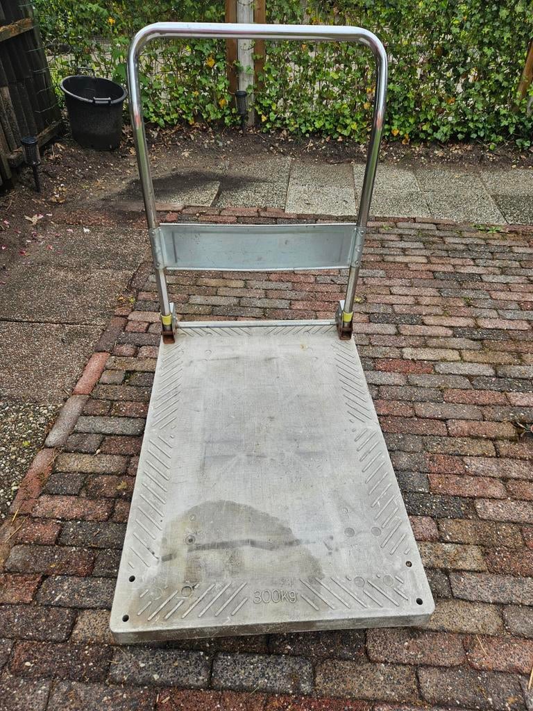 Verhuiskar / hondje, 100 liter of meer, Ophalen, Transportkar