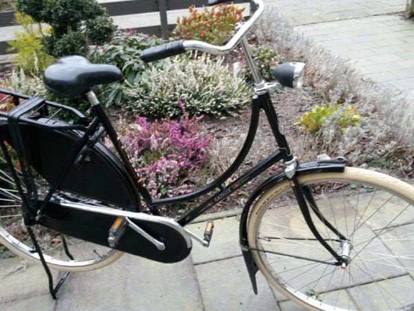 Foto 9 van gazelle tour populair